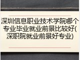 深圳信息职业技术学院哪个专业毕业就业前景比较好(深职院就业前景好专业)