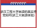 武汉工程大学就读的真实感觉如何(武工大就读体验)