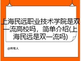 上海民远职业技术学院是双一流高校吗，简单介绍(上海民远是双一流吗)