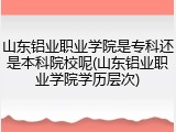 山东铝业职业学院是专科还是本科院校呢(山东铝业职业学院学历层次)