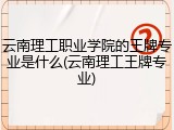 云南理工职业学院的王牌专业是什么(云南理工王牌专业)