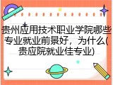贵州应用技术职业学院哪些专业就业前景好，为什么(贵应院就业佳专业)