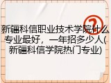 新疆科信职业技术学院什么专业最好，一年招多少人(新疆科信学院热门专业)