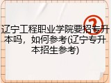 辽宁工程职业学院要招专升本吗，如何参考(辽宁专升本招生参考)