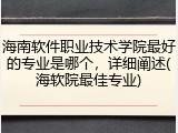海南软件职业技术学院最好的专业是哪个，详细阐述(海软院最佳专业)