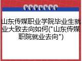 山东传媒职业学院毕业生就业大致去向如何("山东传媒职院就业去向")