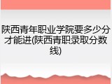 陕西青年职业学院要多少分才能进(陕西青职录取分数线)