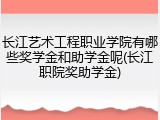 长江艺术工程职业学院有哪些奖学金和助学金呢(长江职院奖助学金)