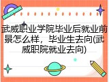 武威职业学院毕业后就业前景怎么样，毕业生去向(武威职院就业去向)