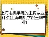 上海电机学院的王牌专业是什么(上海电机学院王牌专业)