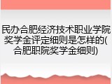 民办合肥经济技术职业学院奖学金评定细则是怎样的(合肥职院奖学金细则)