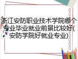 浙江安防职业技术学院哪个专业毕业就业前景比较好(安防学院好就业专业)
