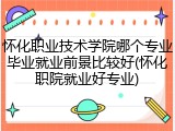 怀化职业技术学院哪个专业毕业就业前景比较好(怀化职院就业好专业)