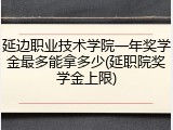 延边职业技术学院一年奖学金最多能拿多少(延职院奖学金上限)