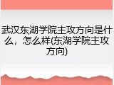 武汉东湖学院主攻方向是什么，怎么样(东湖学院主攻方向)