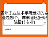 贵州职业技术学院最好的专业是哪个，详细阐述(贵职院最佳专业)