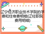辽宁经济职业技术学院的学费和住宿费明细(辽经职院费用明细)