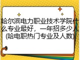 哈尔滨电力职业技术学院什么专业最好，一年招多少人(哈电职热门专业及人数)