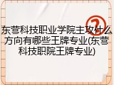 东营科技职业学院主攻什么方向有哪些王牌专业(东营科技职院王牌专业)