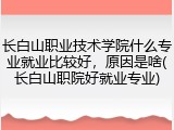 长白山职业技术学院什么专业就业比较好，原因是啥(长白山职院好就业专业)