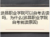 武昌职业学院可以自考去读吗，为什么(武昌职业学院自考就读原因)