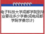 电子科技大学成都学院到毕业要花多少学费(成电成都学院学费总计)