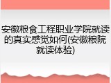 安徽粮食工程职业学院就读的真实感觉如何(安徽粮院就读体验)