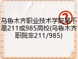 乌鲁木齐职业技术学院是不是211或985高校(乌鲁木齐职院非211/985)