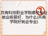 共青科技职业学院哪些专业就业前景好，为什么(共青学院好就业专业)