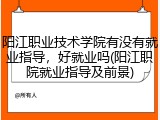 阳江职业技术学院有没有就业指导，好就业吗(阳江职院就业指导及前景)
