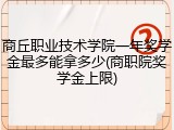 商丘职业技术学院一年奖学金最多能拿多少(商职院奖学金上限)