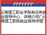 云南理工职业学院有没有就业指导中心，详细介绍("云南理工职院就业指导详情")