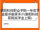 襄阳科技职业学院一年奖学金最多能拿多少(襄阳科技职院奖学金上限)