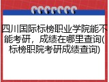 四川国际标榜职业学院能不能考研，成绩在哪里查询(标榜职院考研成绩查询)