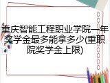 重庆智能工程职业学院一年奖学金最多能拿多少(重职院奖学金上限)