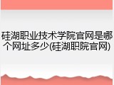 硅湖职业技术学院官网是哪个网址多少(硅湖职院官网)