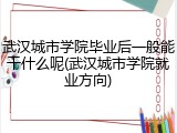 武汉城市学院毕业后一般能干什么呢(武汉城市学院就业方向)