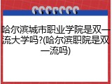 哈尔滨城市职业学院是双一流大学吗?(哈尔滨职院是双一流吗)