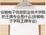 安徽电子信息职业技术学院的王牌专业是什么(安徽电子学院王牌专业)