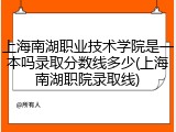 上海南湖职业技术学院是一本吗录取分数线多少(上海南湖职院录取线)