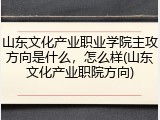 山东文化产业职业学院主攻方向是什么，怎么样(山东文化产业职院方向)