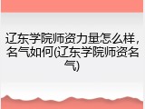 辽东学院师资力量怎么样，名气如何(辽东学院师资名气)