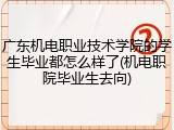 广东机电职业技术学院的学生毕业都怎么样了(机电职院毕业生去向)