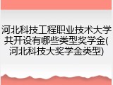 河北科技工程职业技术大学共开设有哪些类型奖学金(河北科技大奖学金类型)
