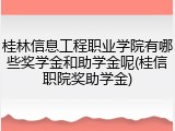 桂林信息工程职业学院有哪些奖学金和助学金呢(桂信职院奖助学金)