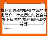 榆林能源科技职业学院的校史简介，什么历史与社会背景下建校的(榆林职院建校背景)