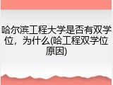 哈尔滨工程大学是否有双学位，为什么(哈工程双学位原因)