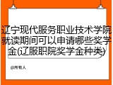 辽宁现代服务职业技术学院就读期间可以申请哪些奖学金(辽服职院奖学金种类)