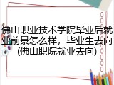 佛山职业技术学院毕业后就业前景怎么样，毕业生去向(佛山职院就业去向)