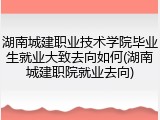 湖南城建职业技术学院毕业生就业大致去向如何(湖南城建职院就业去向)